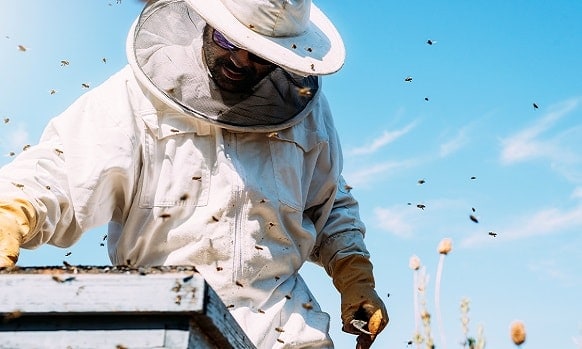 Protective Clothing – BC Bee Supply