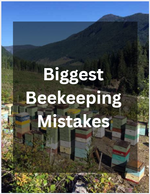 Top 10 Beekeeping Mistakes New Keepers Make in Summer (and How to Avoid Them in BC)