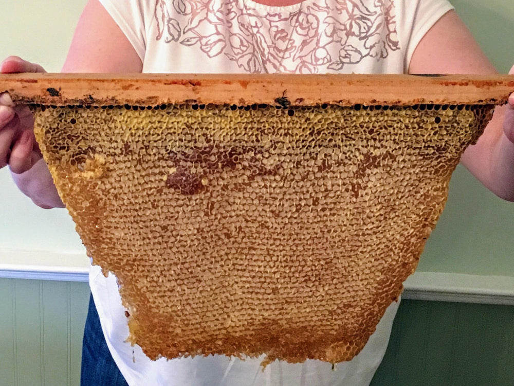 Langstroth vs. Top-Bar Hives: What’s Right for a New Beekeeper?