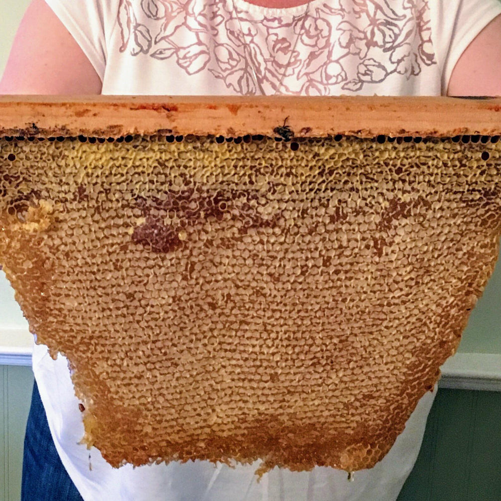 Langstroth vs. Top-Bar Hives: What’s Right for a New Beekeeper?