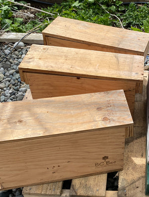 
                  
                    Nuc Box - Wooden/Corrugated
                  
                