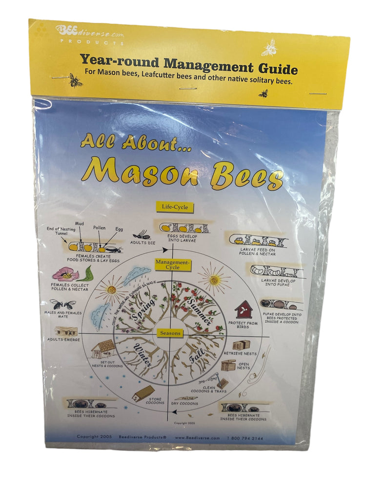 
                  
                    Mason Bee Life Cycle Poster
                  
                