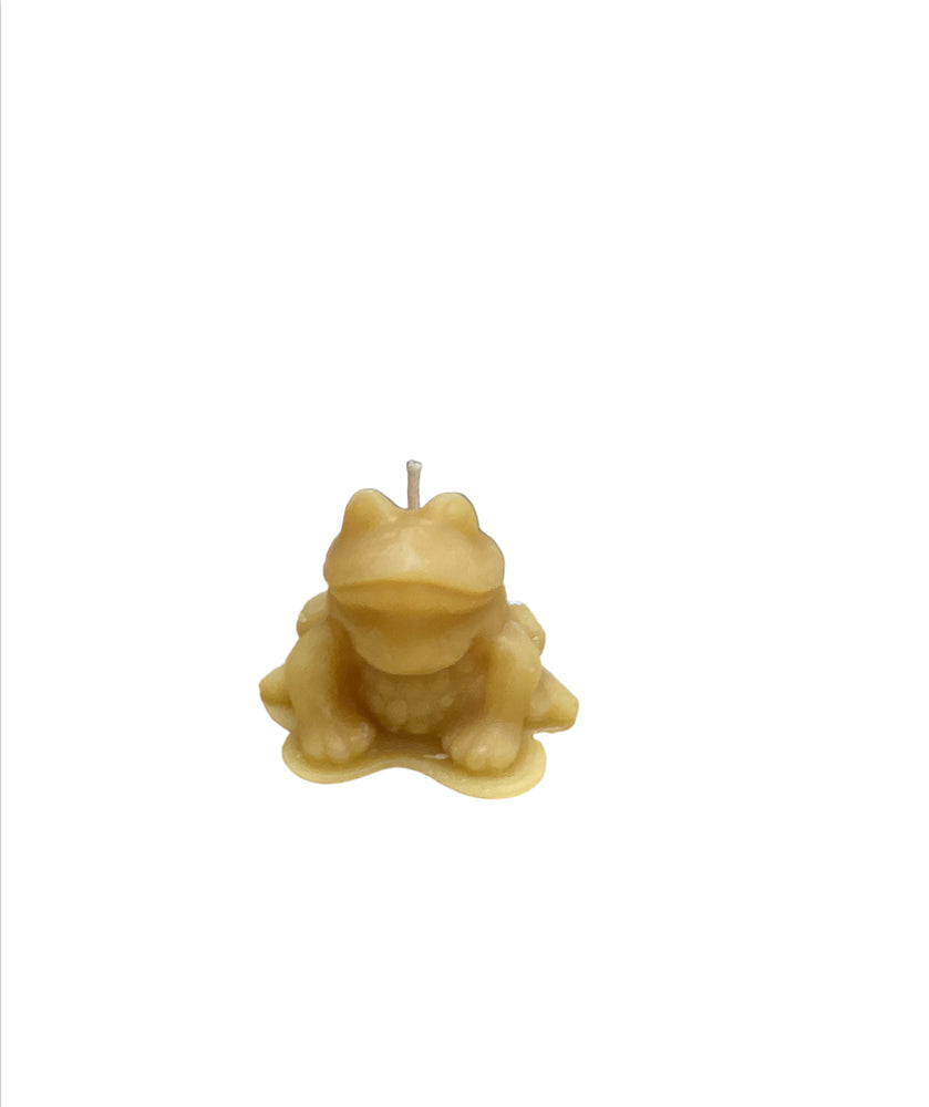 
                  
                    Beeswax Candles - animal shapes
                  
                