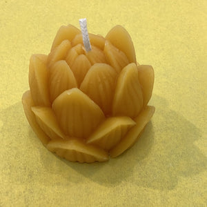 
                  
                    Candle - Beeswax Votive
                  
                