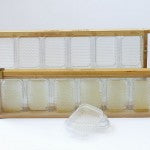 
                  
                    Honeycomb Tray, Plastic Rectangular, various sizes
                  
                