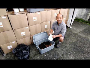
                  
                    Load and play video in Gallery viewer, Workshop: Worm Composting - how to start your own worm farm
                  
                