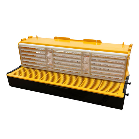 Pollen Trap, Beeflower Style 1