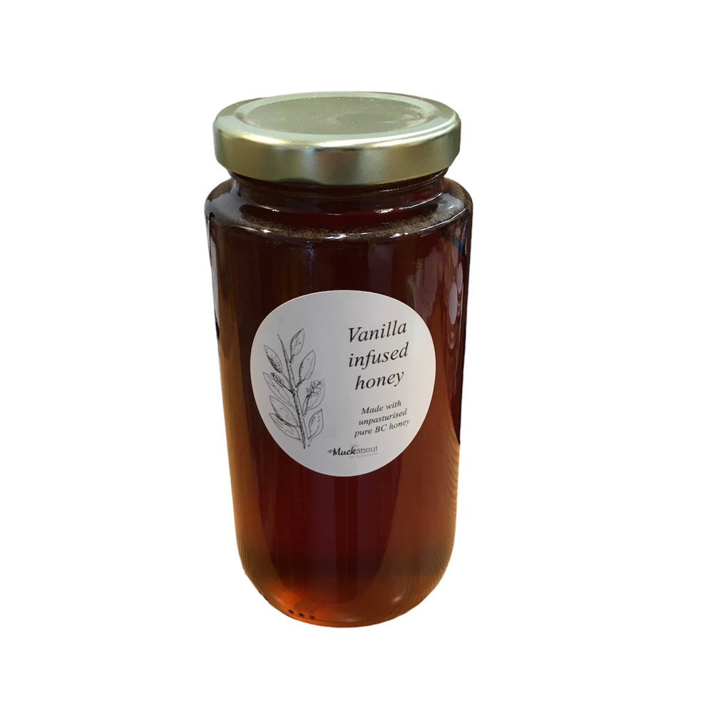 Vanilla Infused Honey - BC Bee Supply Honey