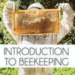 Workshop: Introduction to Beekeeping