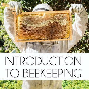 
                  
                    Class: Introduction to Beekeeping
                  
                