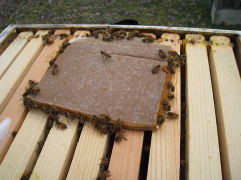 Feed - Pollen Patties